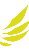 Logo Némesis